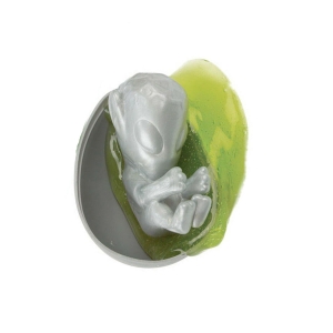 Alien Egg